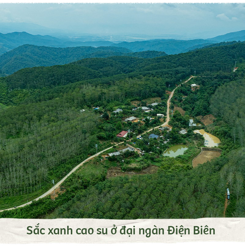 Hành trình xanh của cao su trên mảnh đất cực Tây Tổ quốc - Ảnh 2.