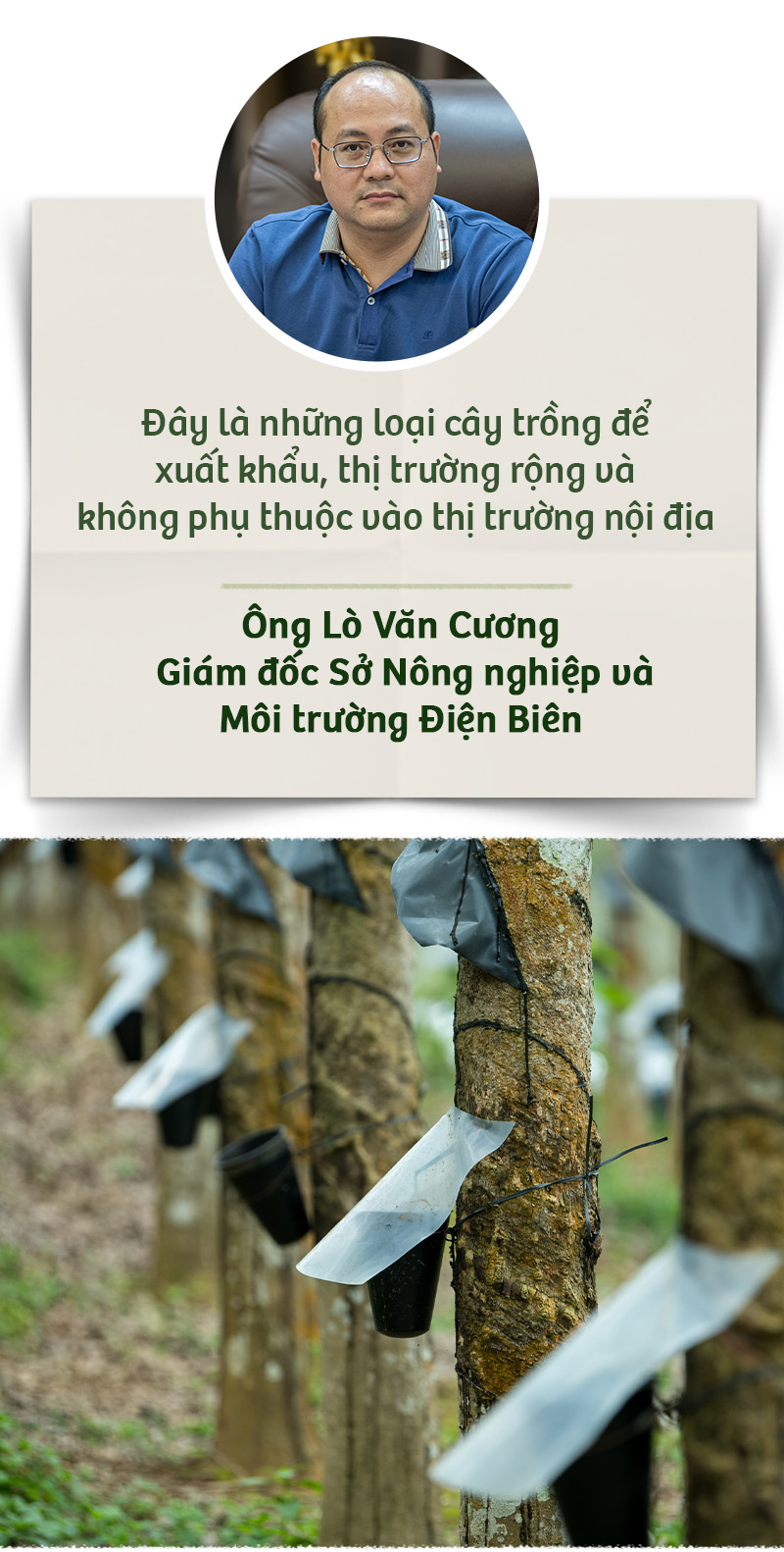 Hành trình xanh của cao su trên mảnh đất cực Tây Tổ quốc - Ảnh 16.
