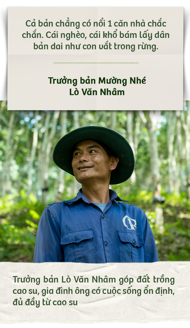 Hành trình xanh của cao su trên mảnh đất cực Tây Tổ quốc - Ảnh 3.