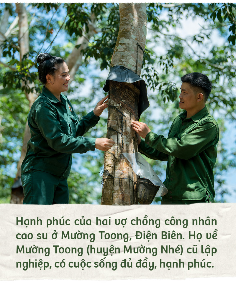 Hành trình xanh của cao su trên mảnh đất cực Tây Tổ quốc - Ảnh 10.