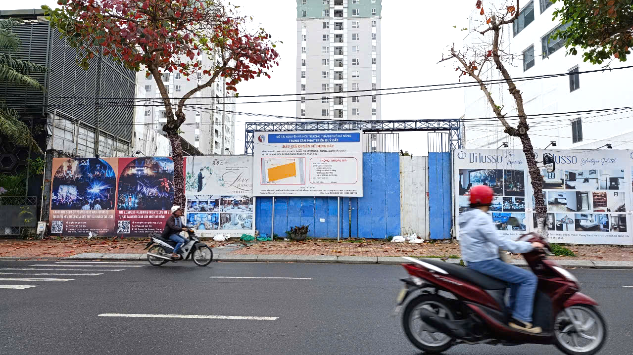 đấu giá - Ảnh 1.
