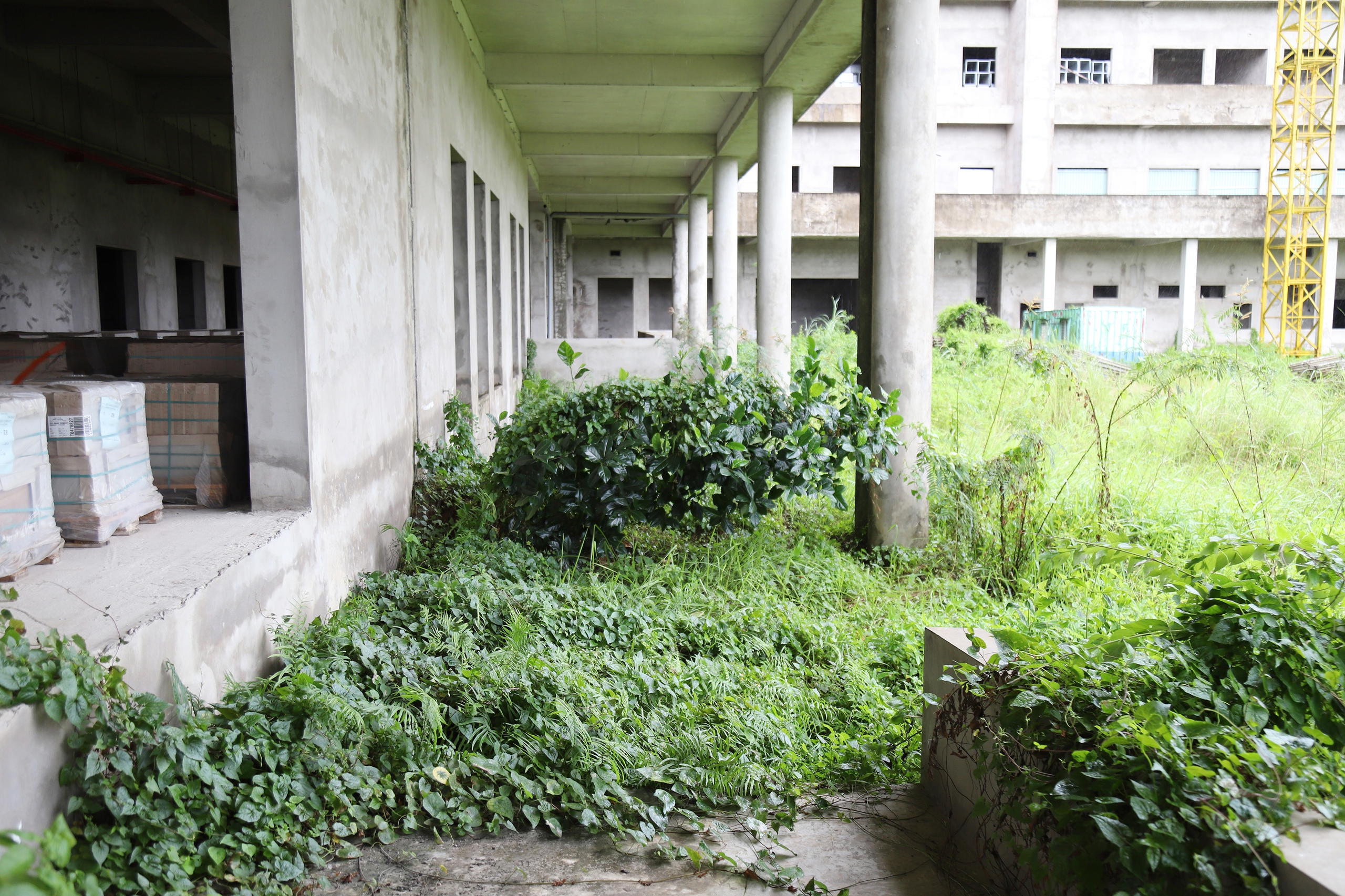 Cần Thơ - Ảnh 3.