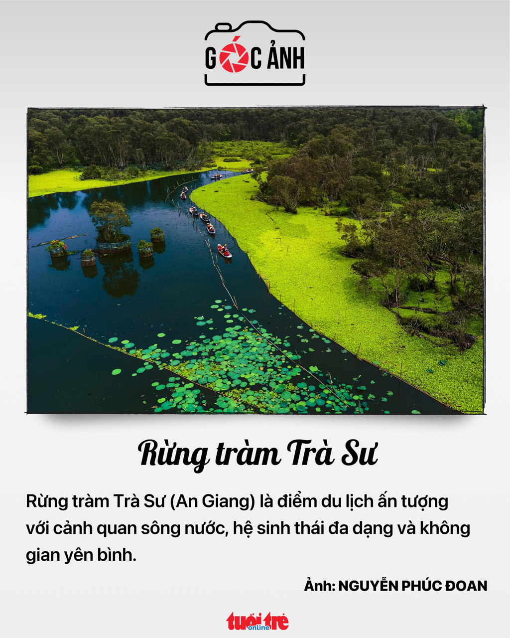 bảo hiểm - Ảnh 6.