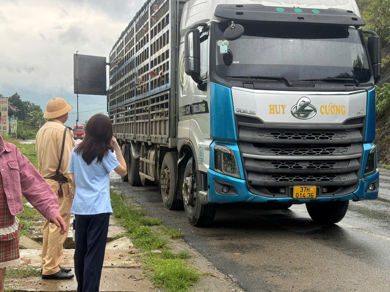 dịch tả heo Châu Phi - Ảnh 1.