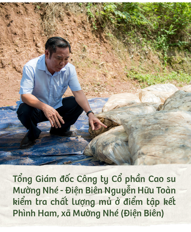 Hành trình xanh của cao su trên mảnh đất cực Tây Tổ quốc - Ảnh 7.
