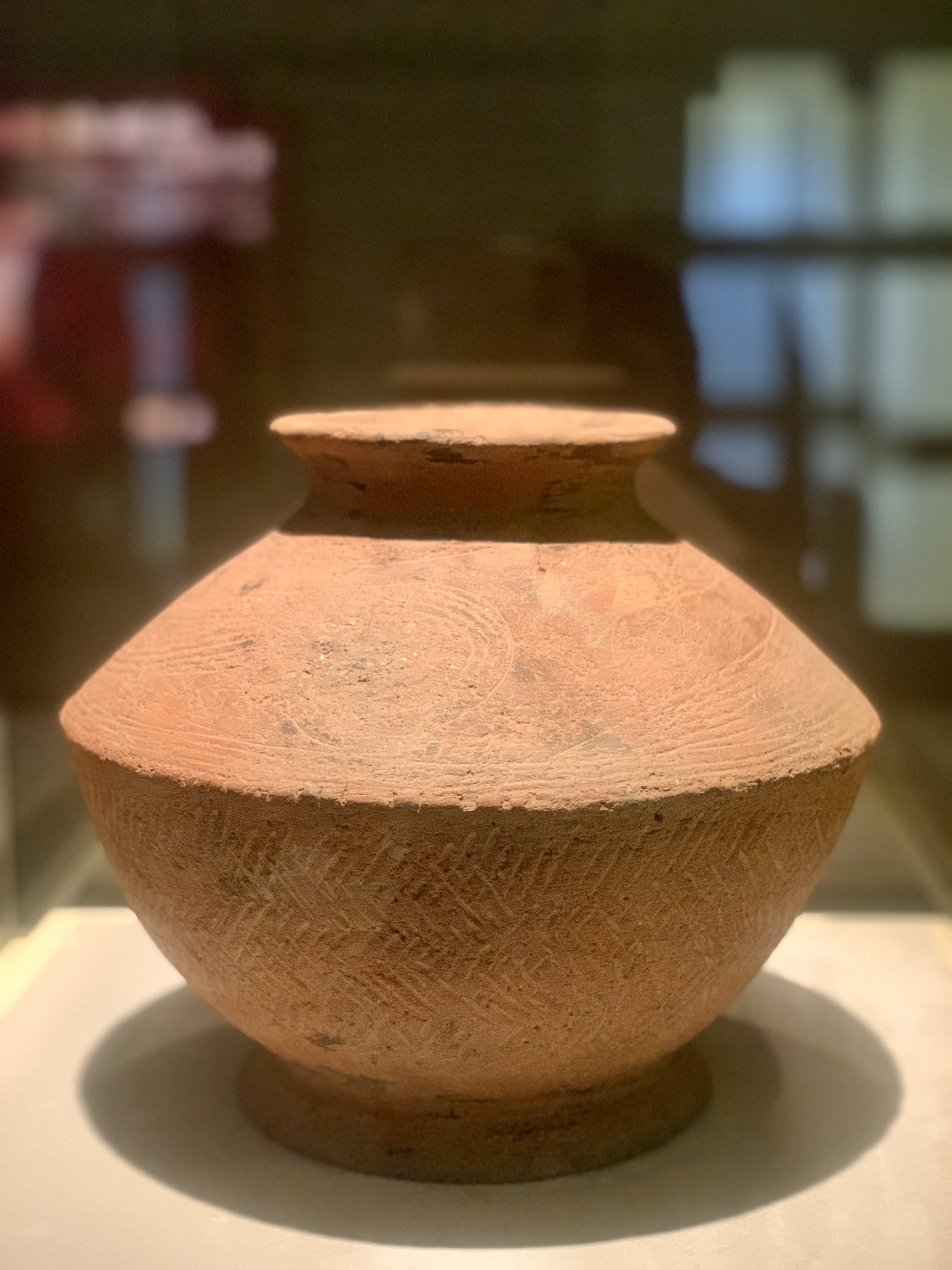 Chi Bảo - Ảnh 12.