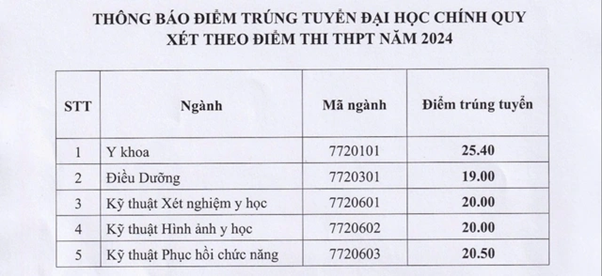 Tổng hợp điểm chuẩn trường ngành Y năm 2024- Ảnh 15.