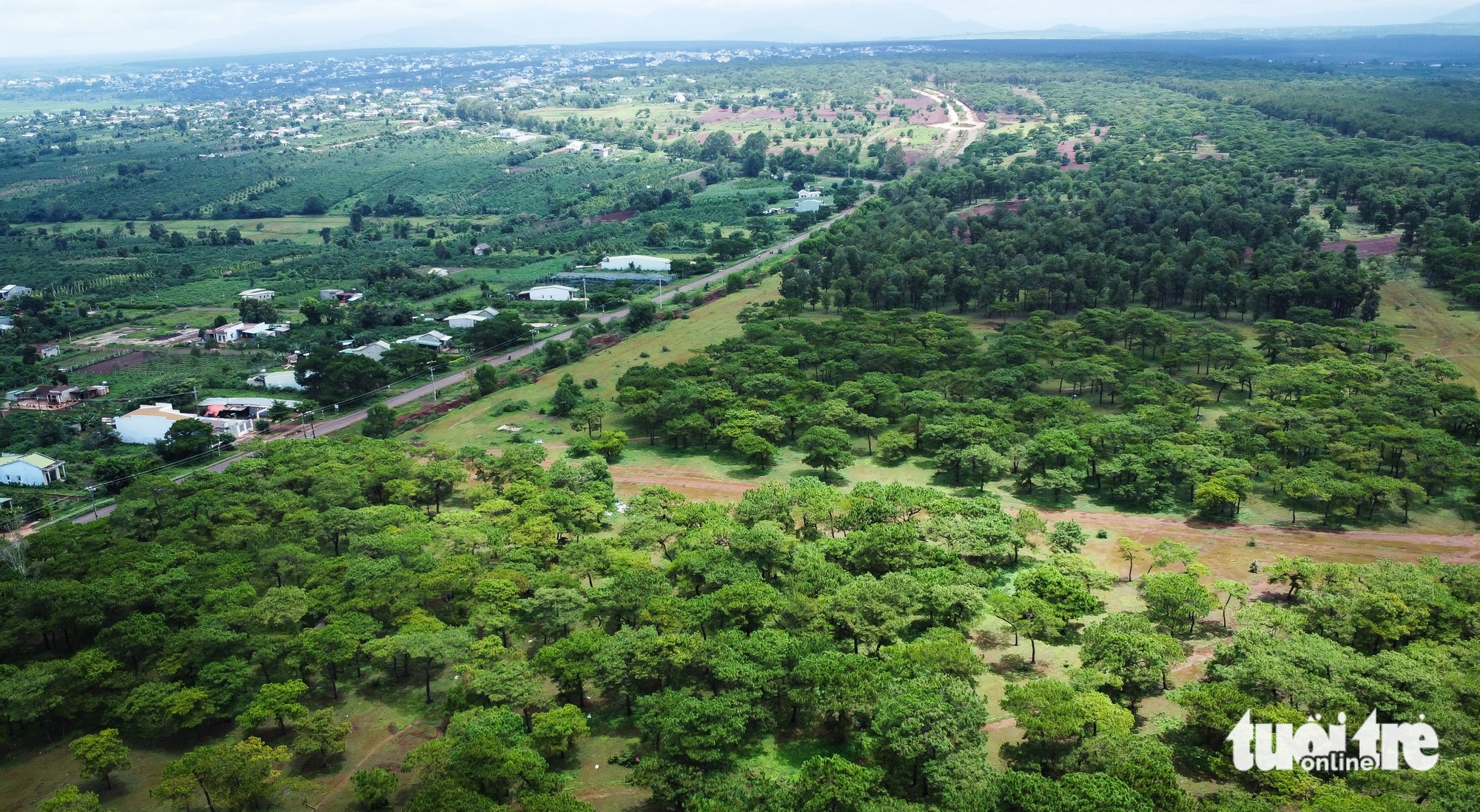 Dự án sân golf Đak Đoa sắp khởi động lại, hiện trạng ra sao?- Ảnh 6. Dự án sân golf Đak Đoa sắp khởi động lại, hiện trạng ra sao?- Ảnh 6.