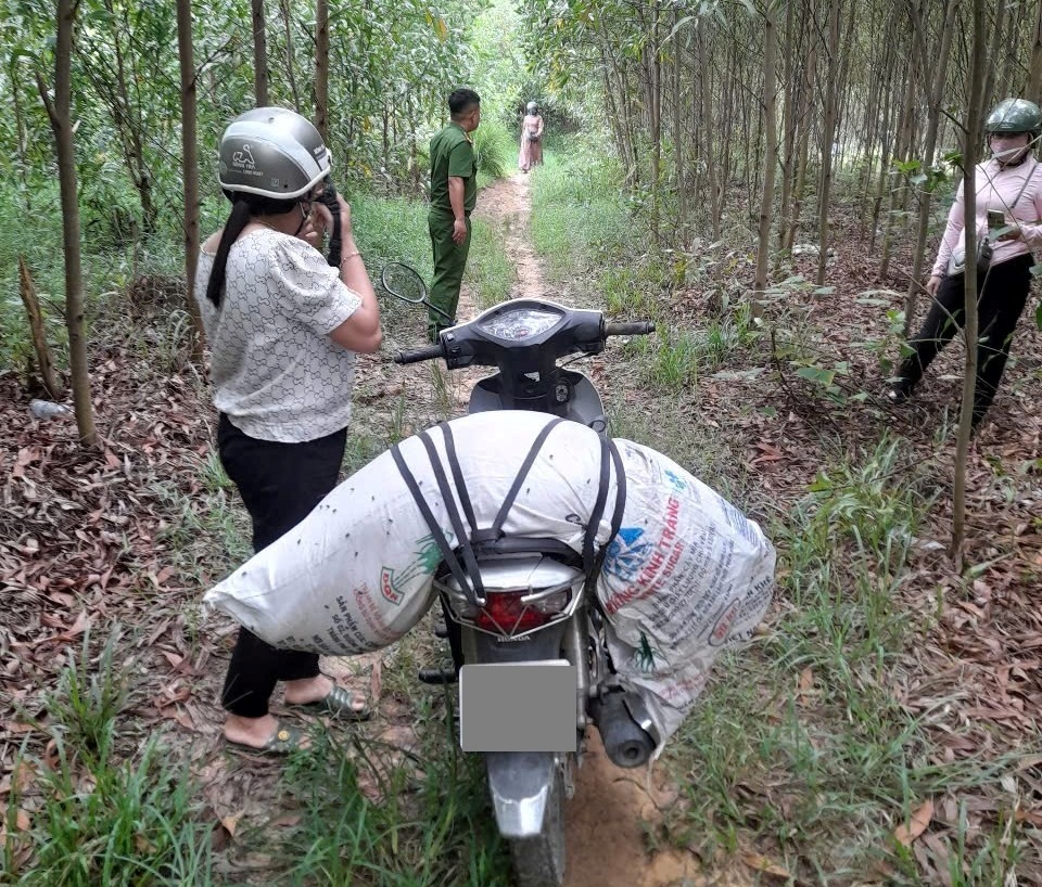 dịch tả heo châu phi - Ảnh 3.