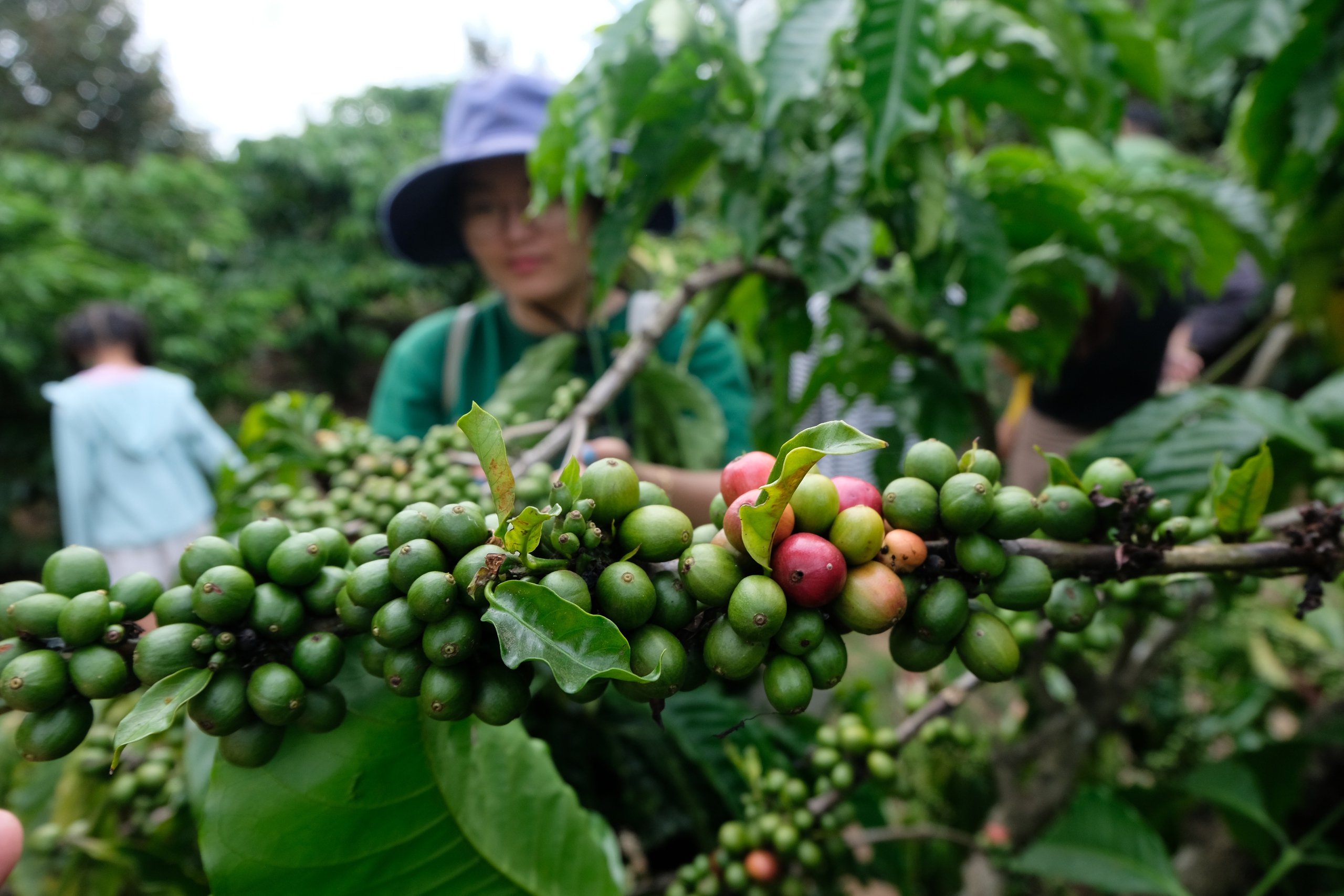 Doanh nghiệp 'chèo chống' với tỉ giá - Ảnh 1.