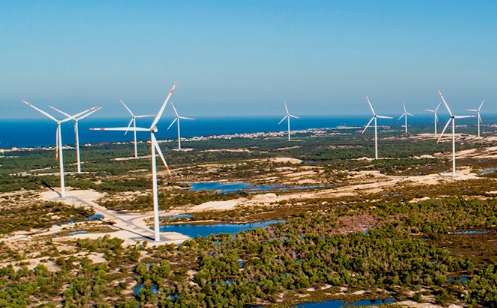 điện gió - Ảnh 1.