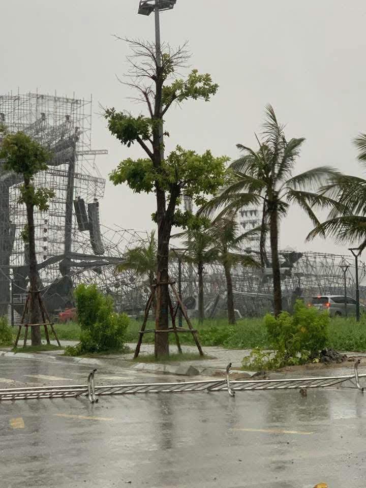 bão Wipha - Ảnh 3.