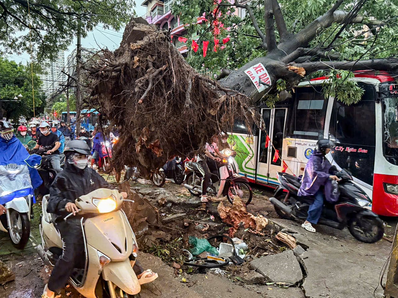 Dông lốc ở Hà Nội quật ngã nhiều cây xanh, cột điện - Ảnh 7.