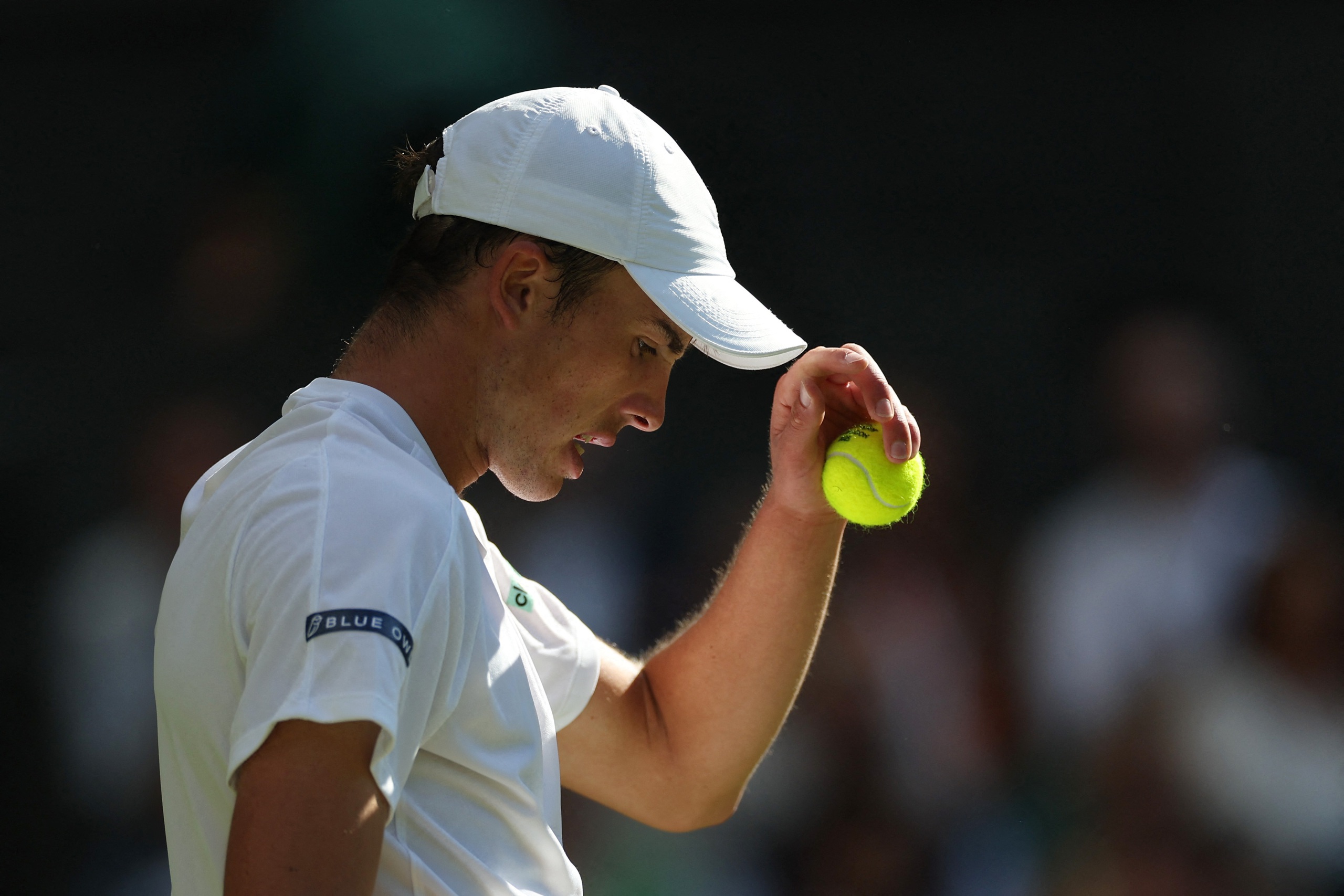 Câu chuyện cổ tích của tay vợt hạng 733 ở Wimbledon kết thúc - Ảnh 1.