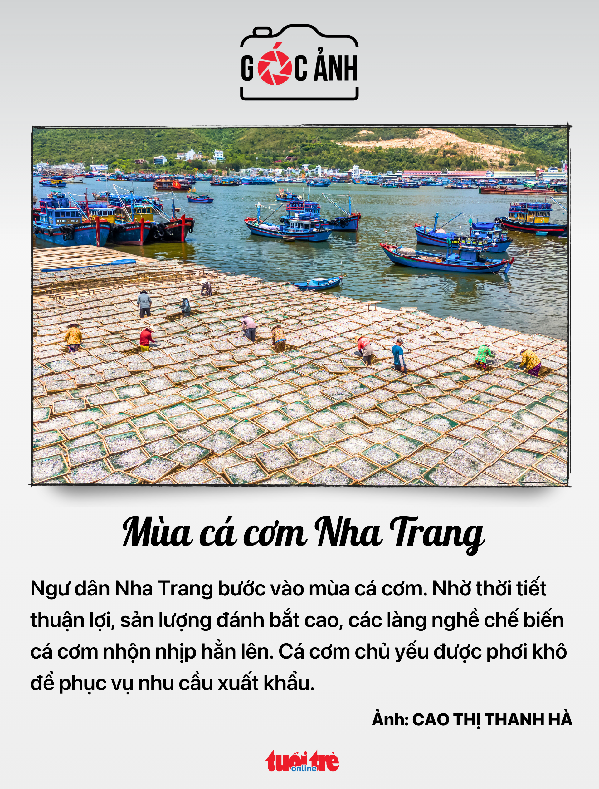 trợ cấp - Ảnh 6.