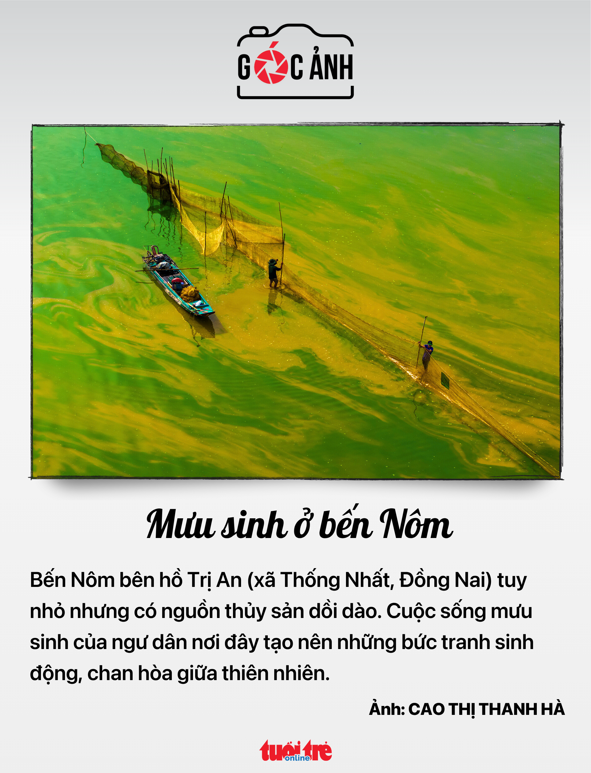 FPT Telecom - Ảnh 8.