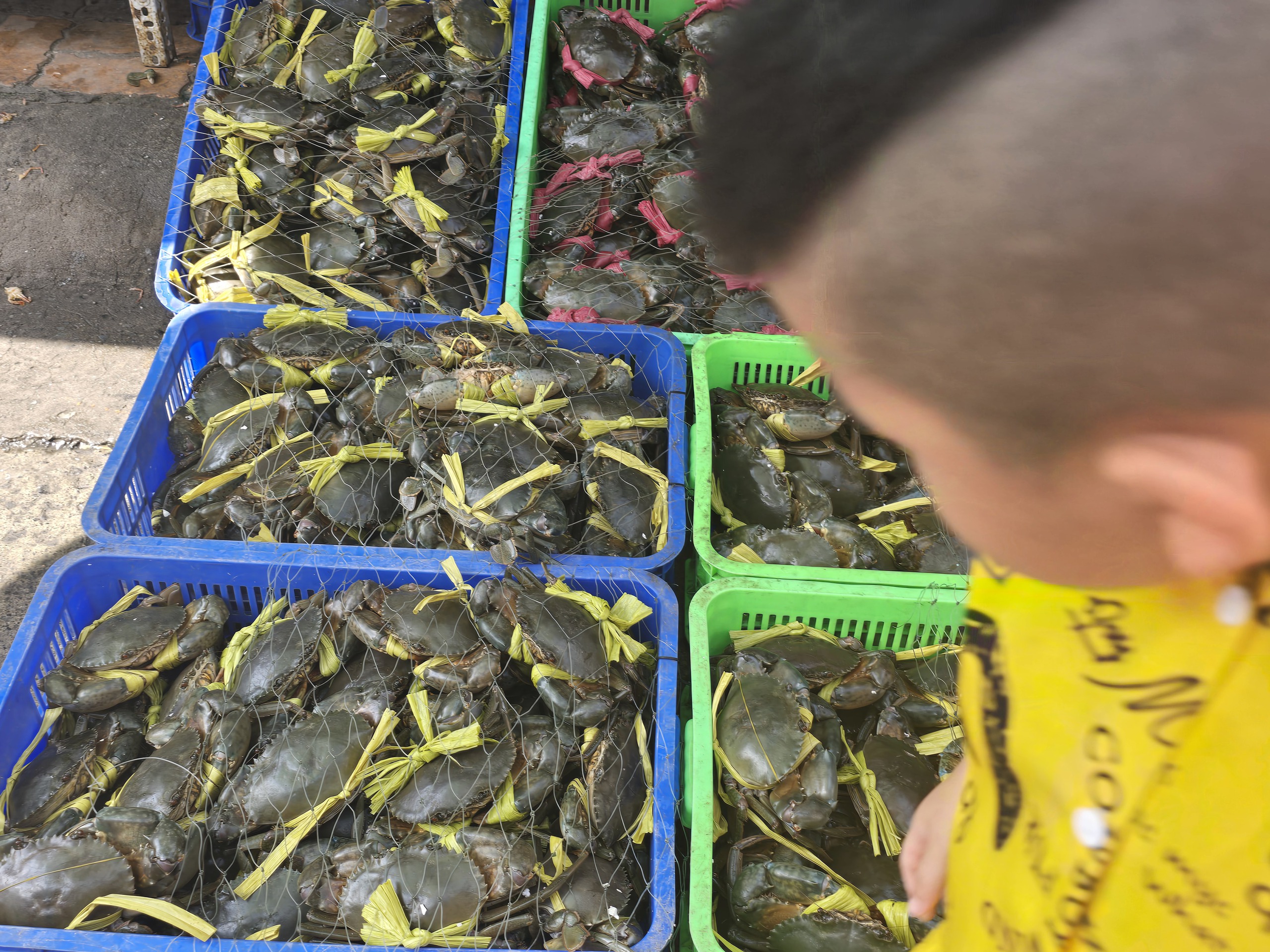 chợ Xóm Lưới - Ảnh 9.