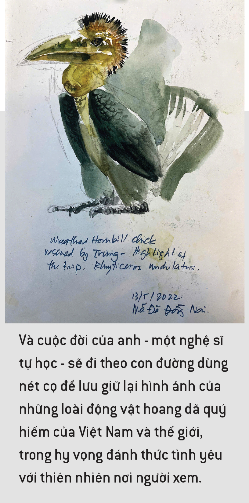 Đào Văn Hoàng:  Vào trong hoang dã, vẽ để kể về sự sống và mất mát - Ảnh 1.