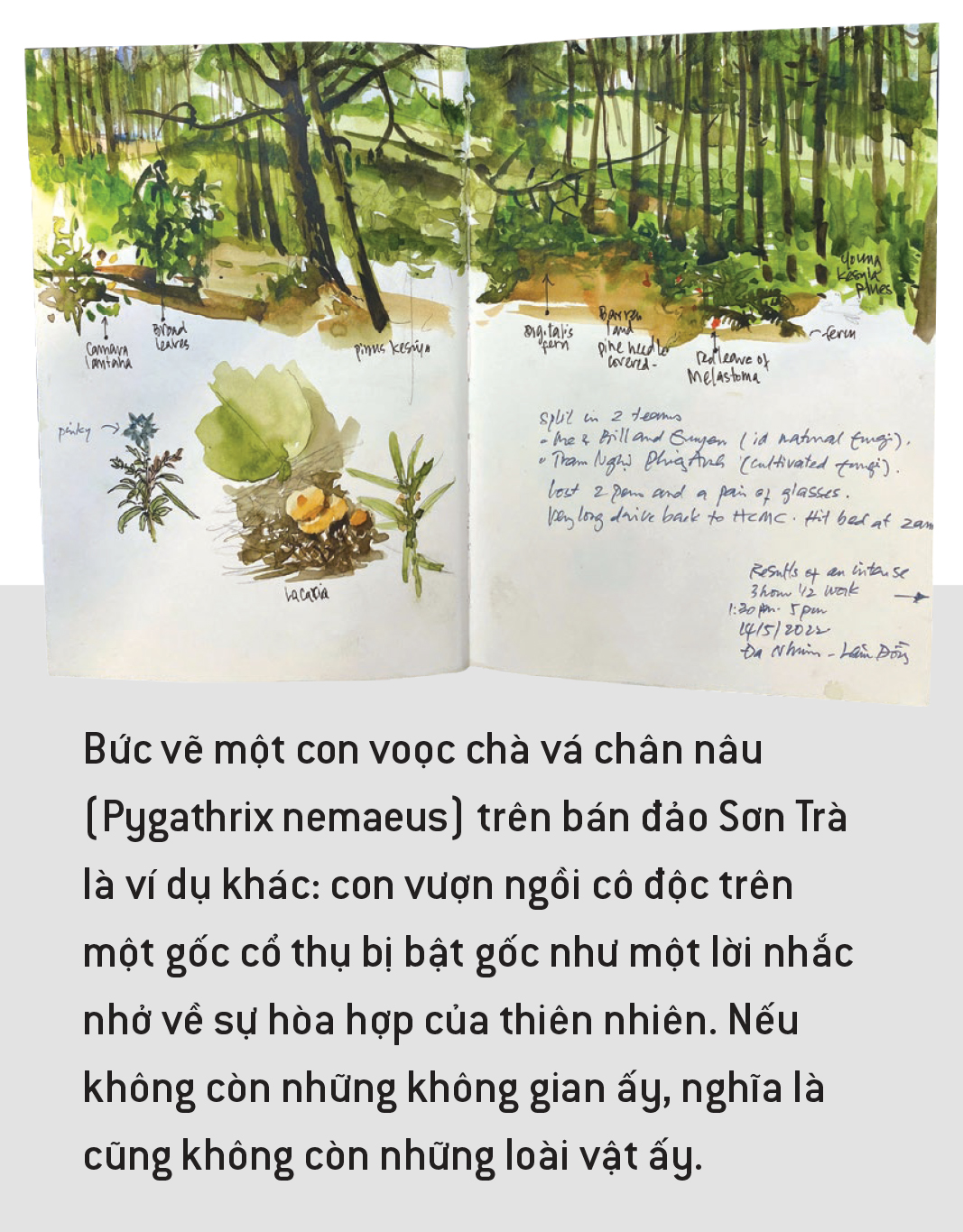 Đào Văn Hoàng:  Vào trong hoang dã, vẽ để kể về sự sống và mất mát - Ảnh 3.