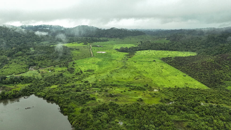 Proof of life: tracking elusive Amazon group to save their land- Ảnh 1. Proof of life: tracking elusive Amazon group to save their land- Ảnh 1.