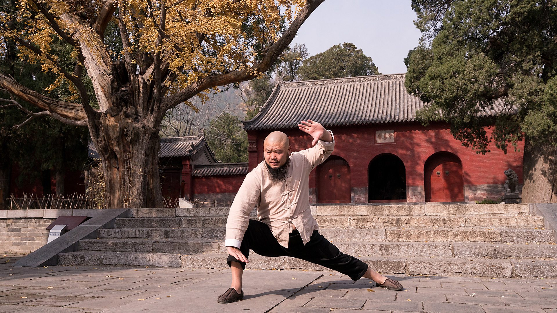 Thiếu Lâm - Ảnh 1.