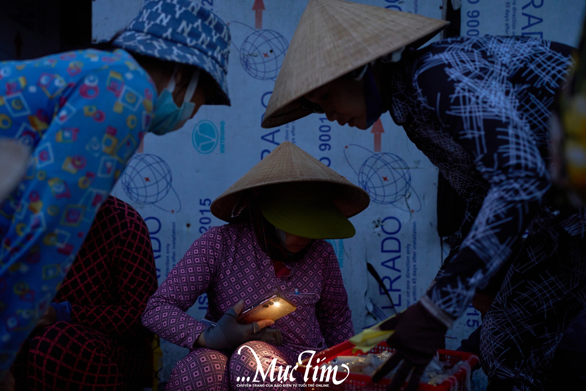 Một ngày khám phá bến cá Vĩnh Trường - Ảnh 2.