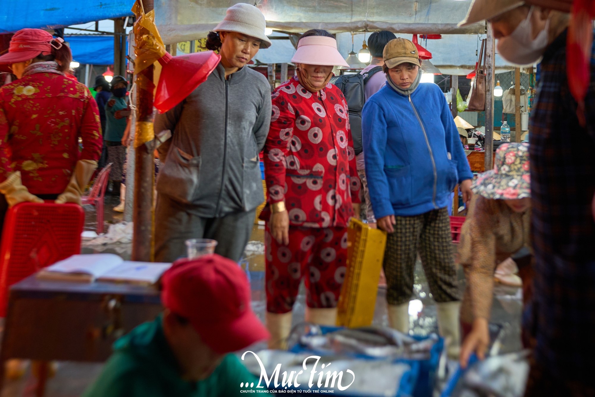 Một ngày khám phá bến cá Vĩnh Trường - Ảnh 3.