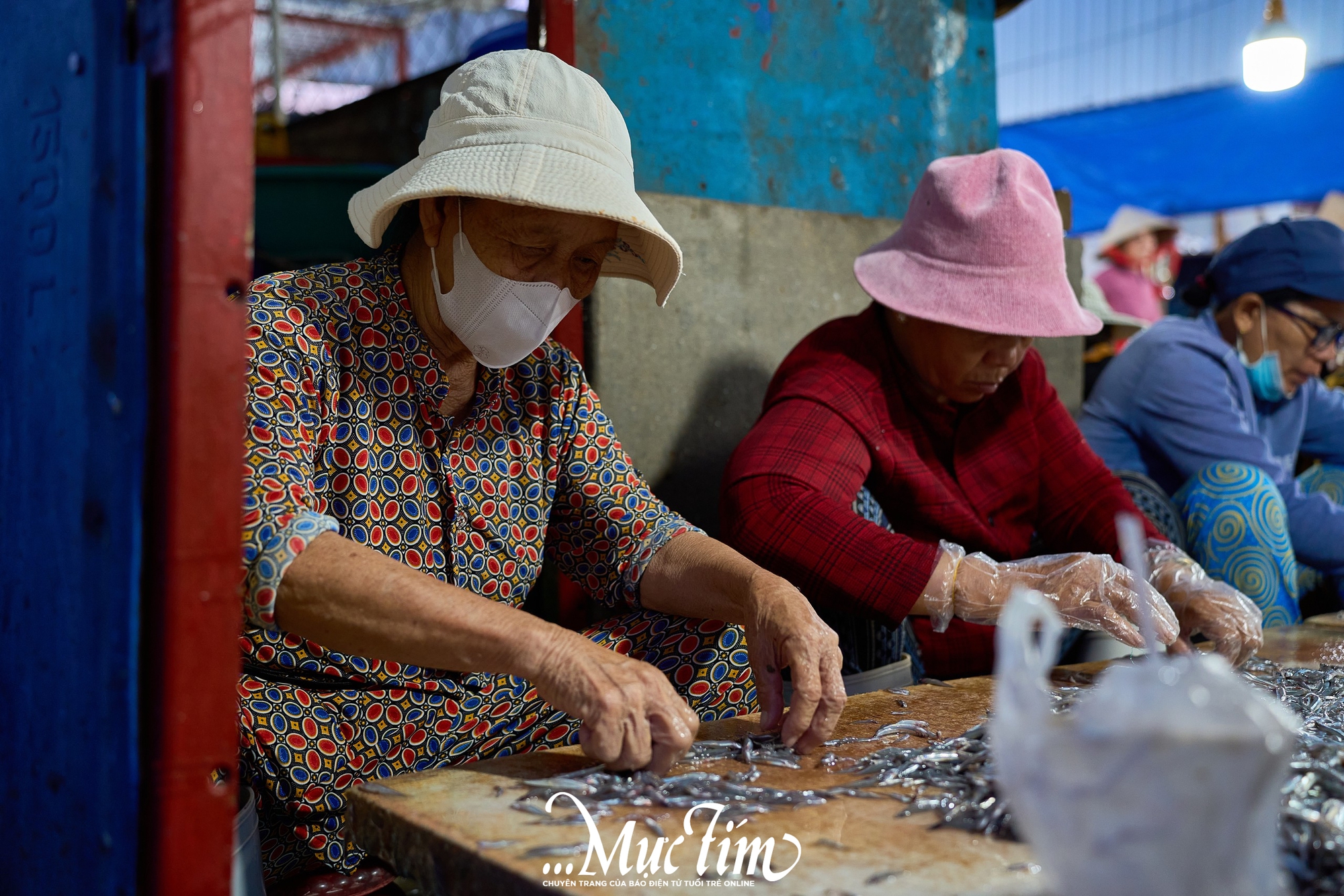 Một ngày khám phá bến cá Vĩnh Trường - Ảnh 7.