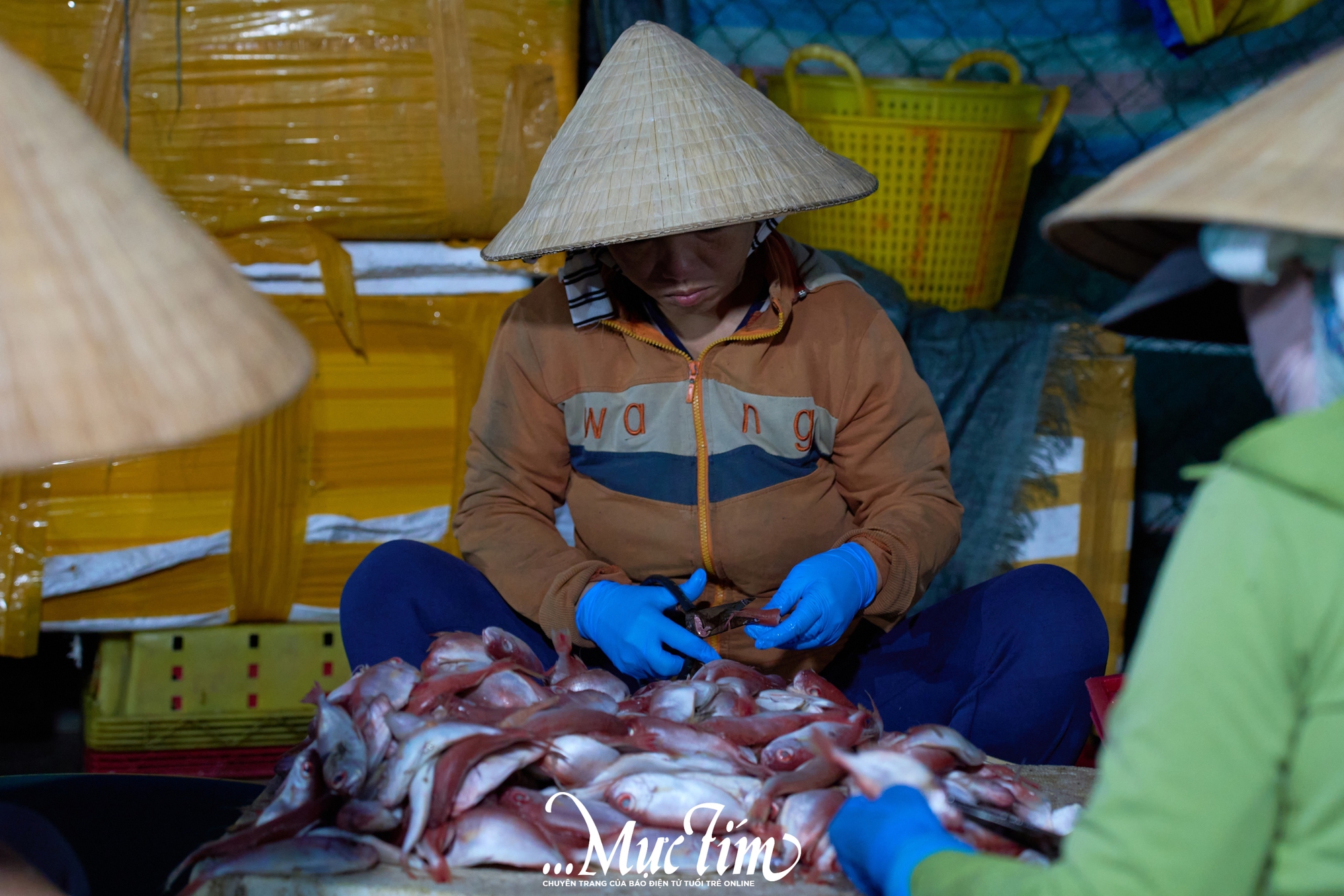 Một ngày khám phá bến cá Vĩnh Trường - Ảnh 8.