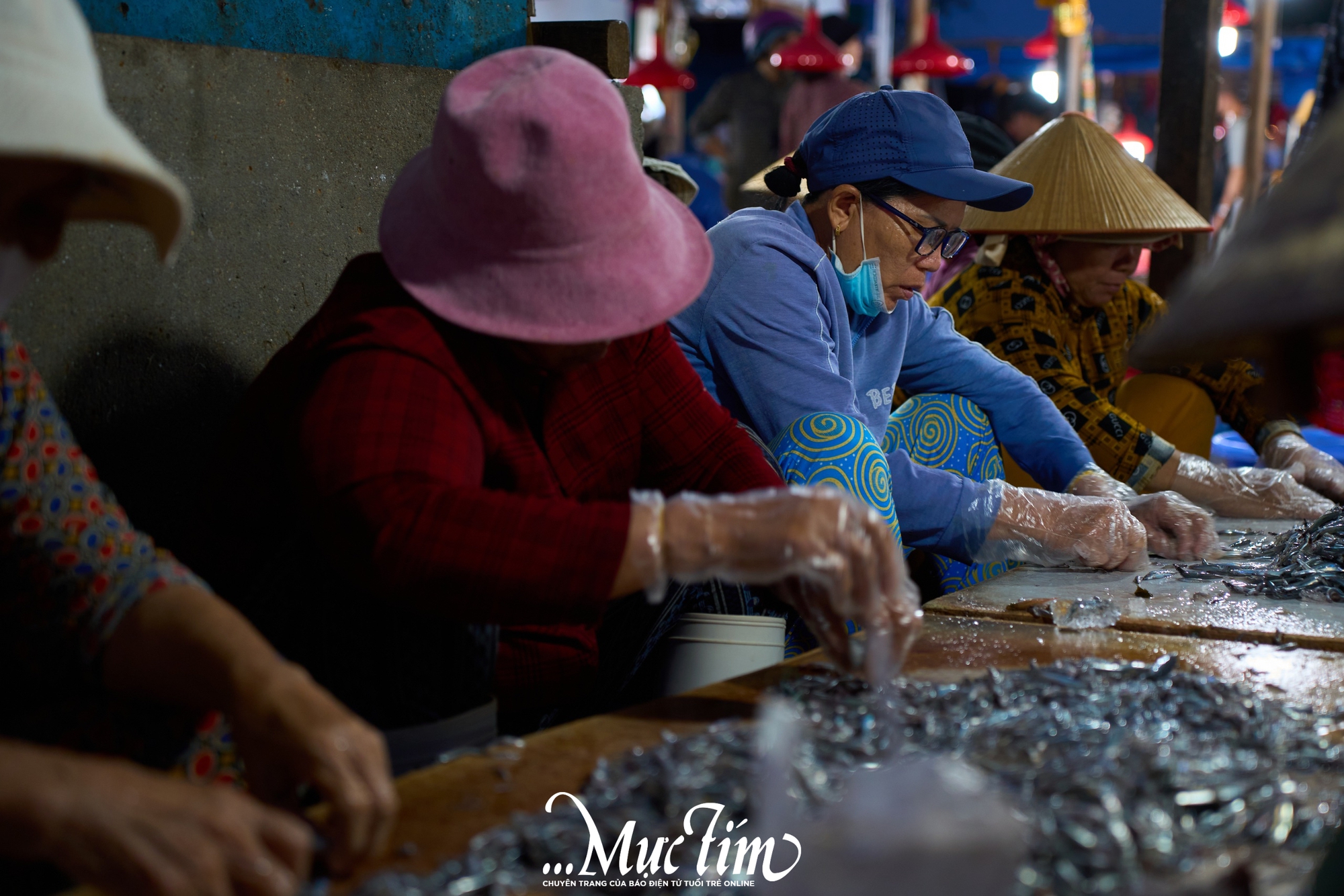 Một ngày khám phá bến cá Vĩnh Trường - Ảnh 9.