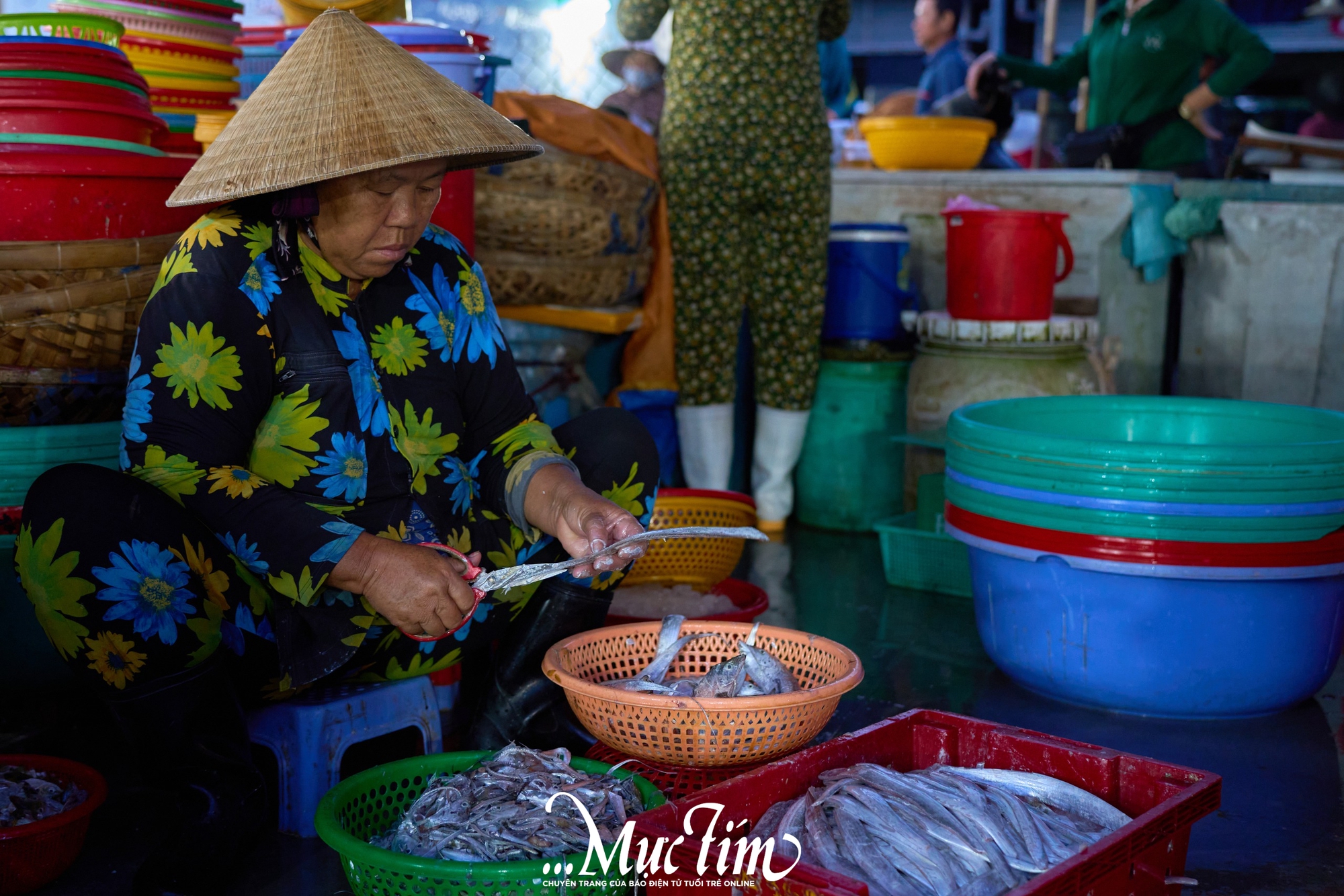 Một ngày khám phá bến cá Vĩnh Trường - Ảnh 11.