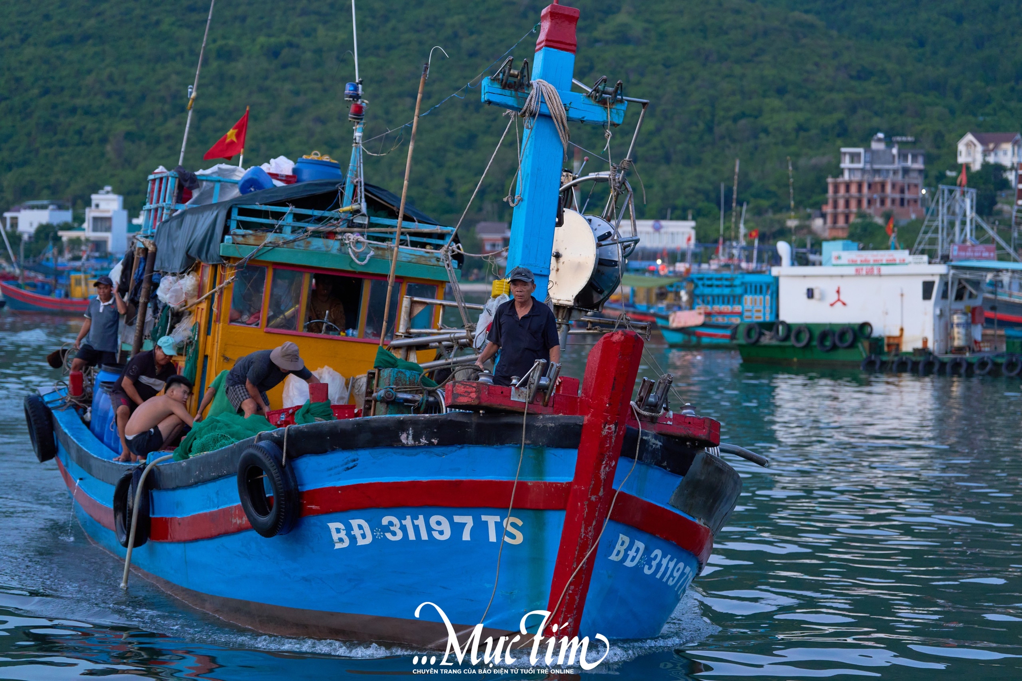 Một ngày khám phá bến cá Vĩnh Trường - Ảnh 13.