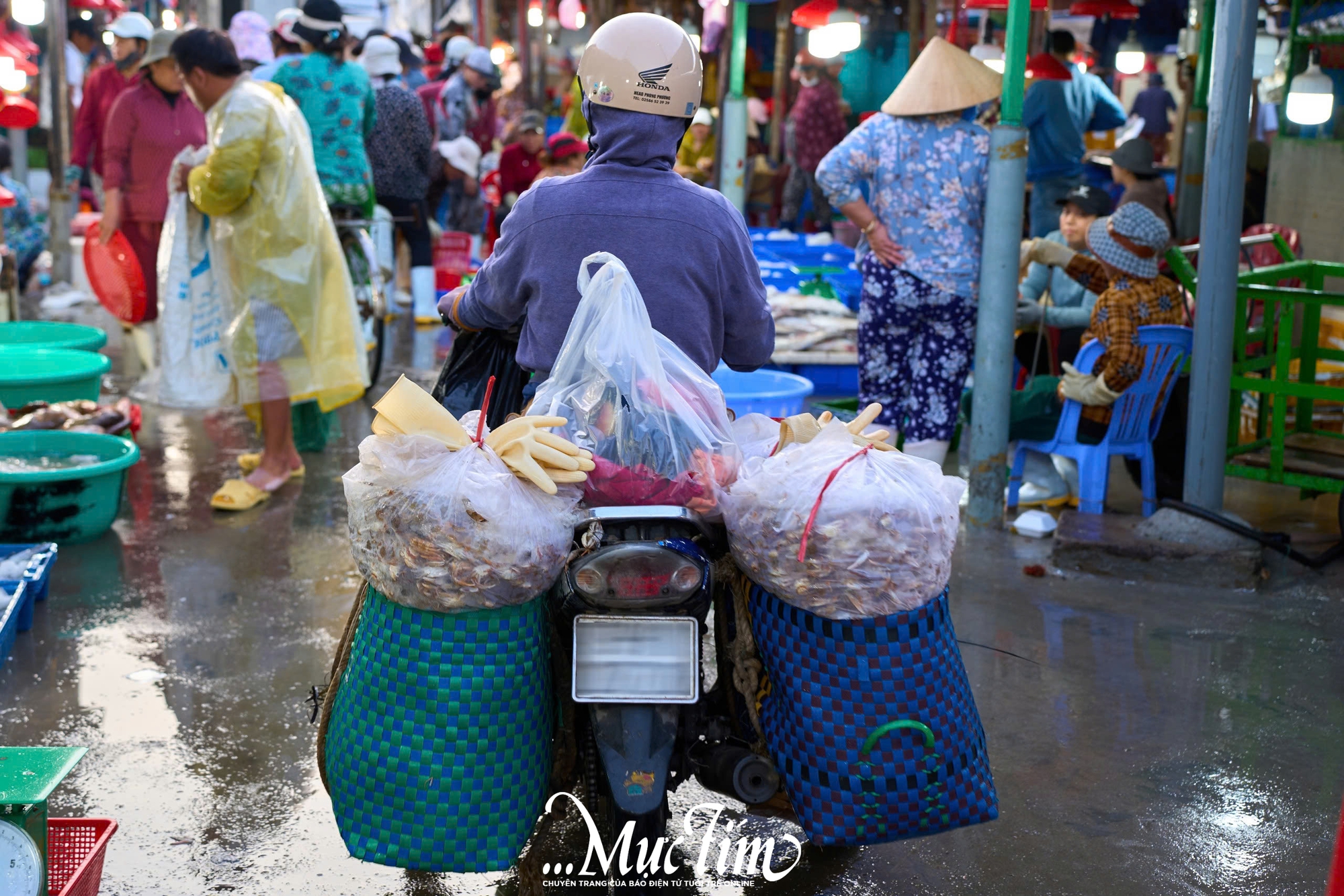 Một ngày khám phá bến cá Vĩnh Trường - Ảnh 20.