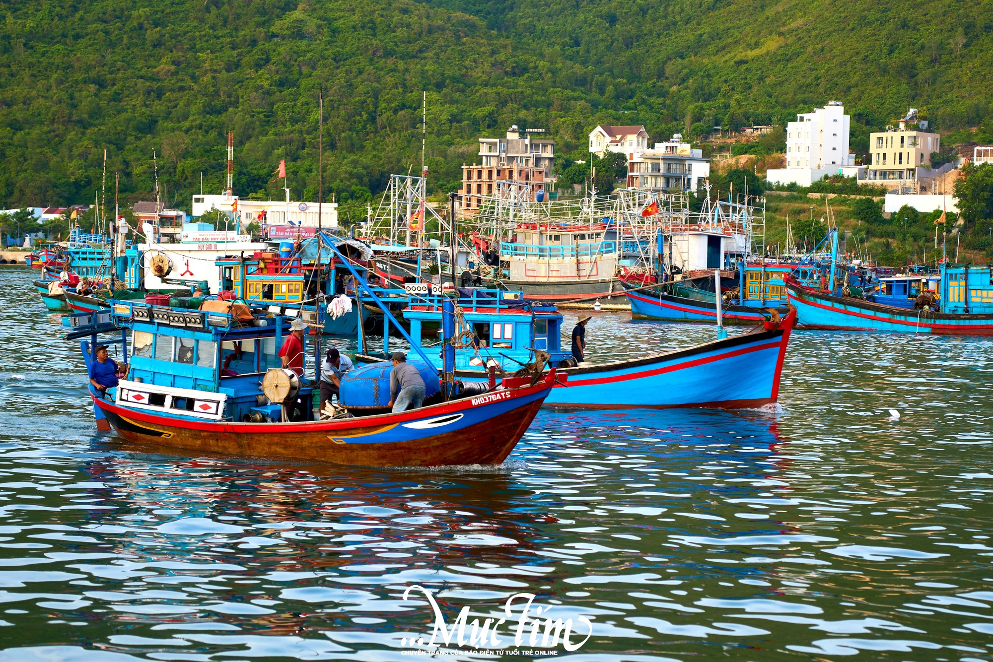 Một ngày khám phá bến cá Vĩnh Trường - Ảnh 22.