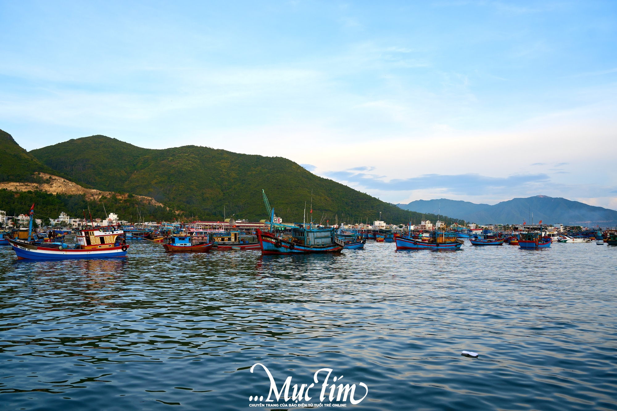 Một ngày khám phá bến cá Vĩnh Trường - Ảnh 23.