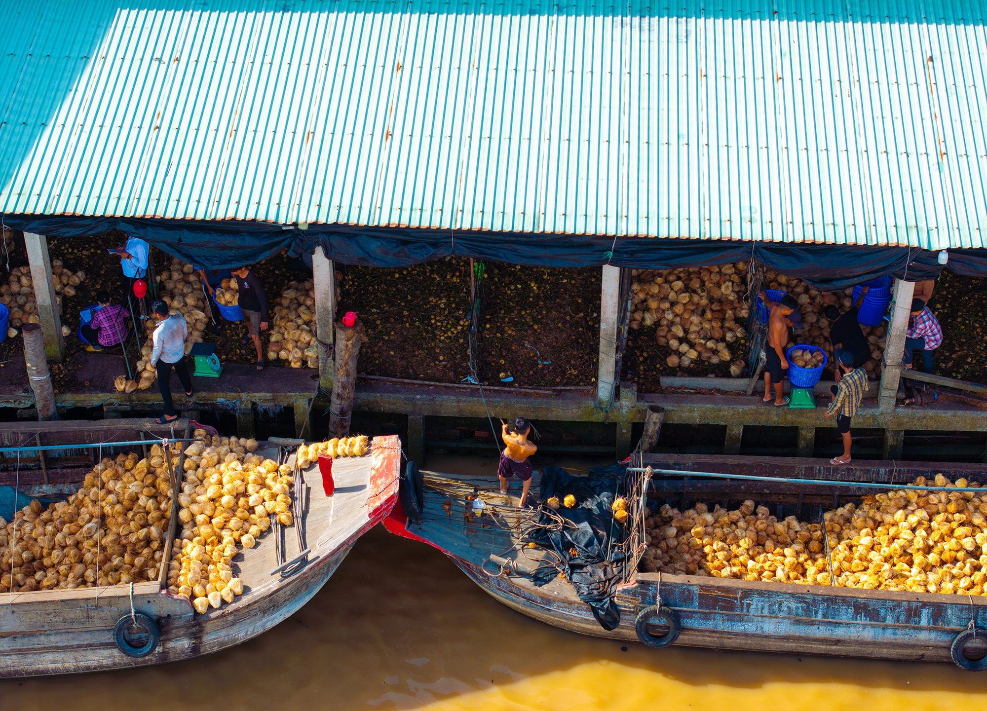 Bến Tre - Ảnh 14.