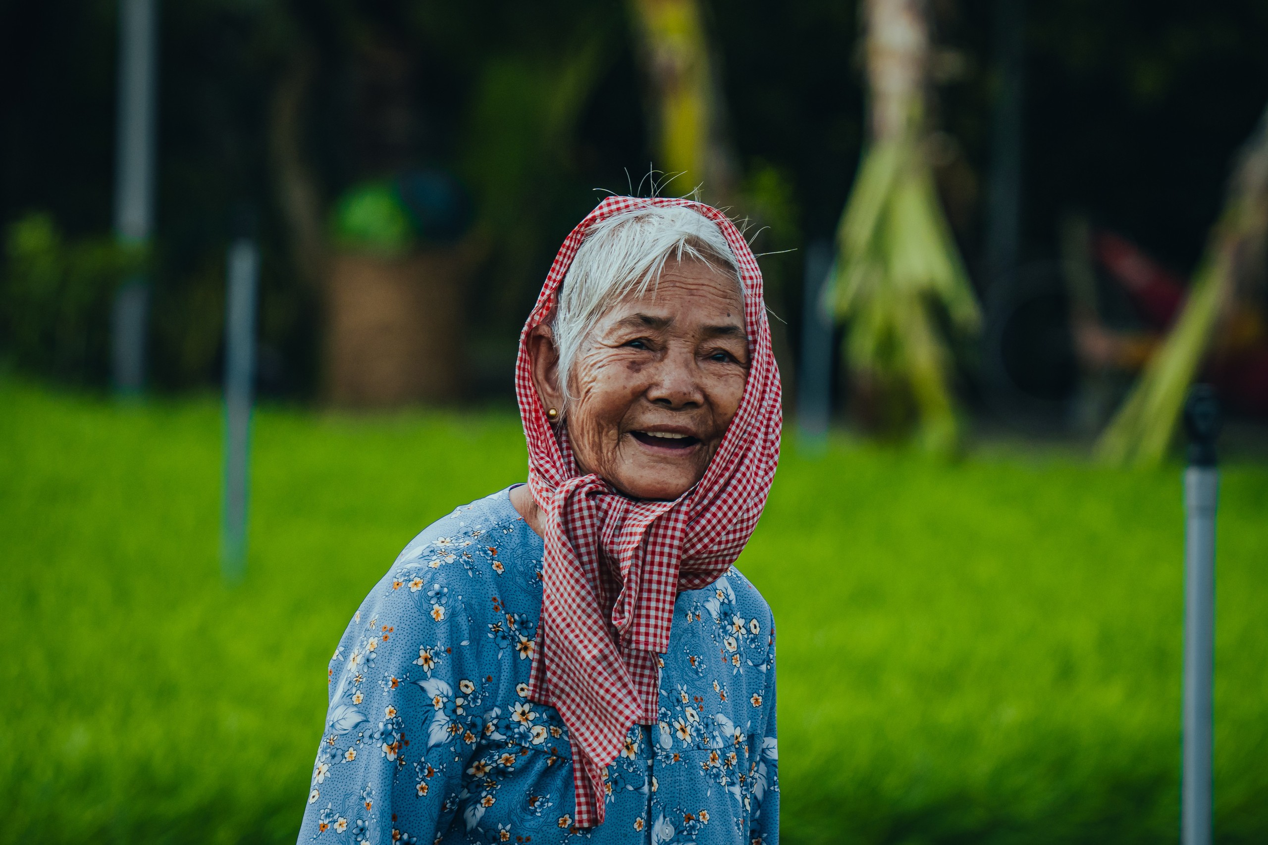 Bến Tre - Ảnh 13.