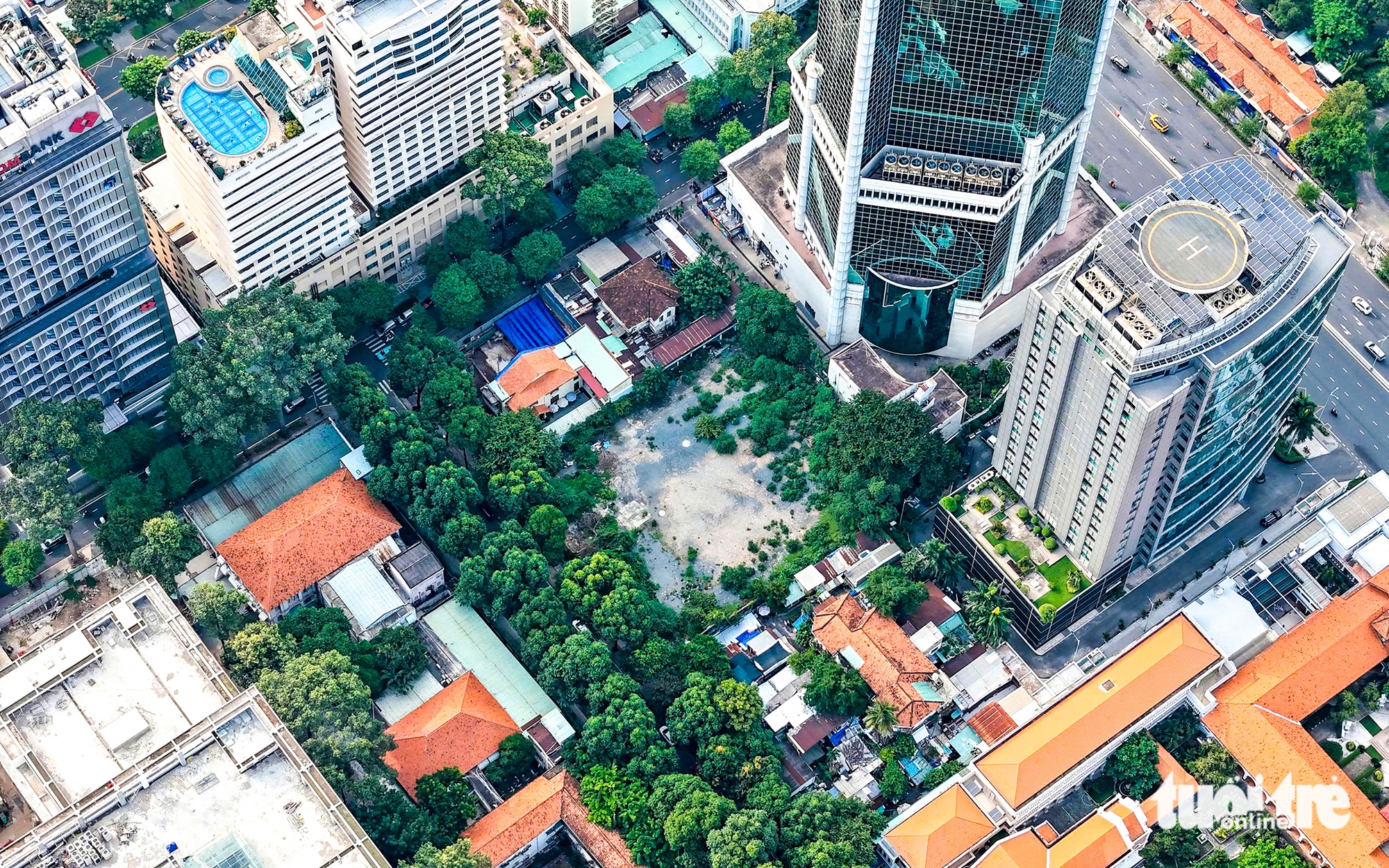 Đinh Trường Chinh  - Ảnh 1.