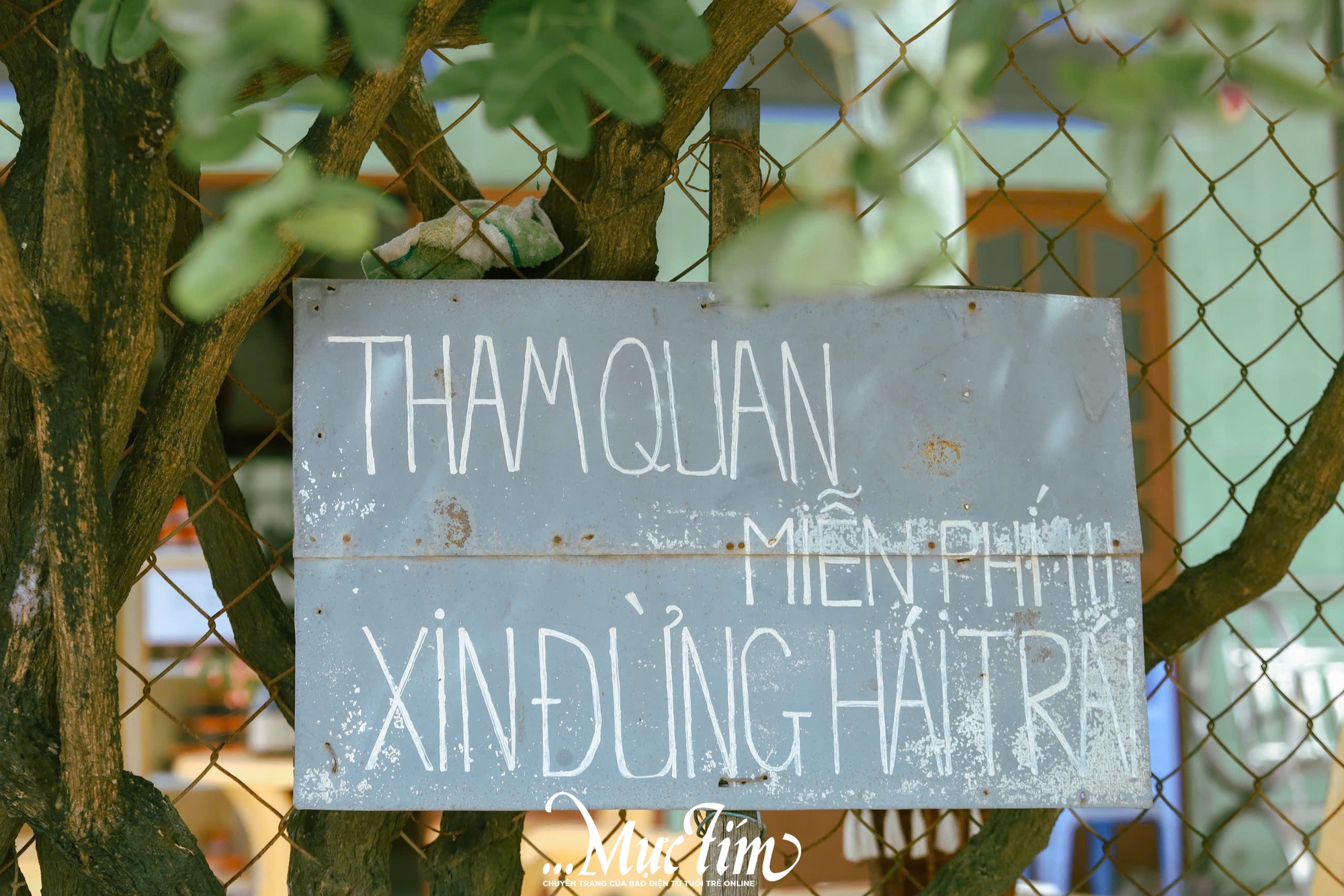 Ghé thăm vườn siro 9 Vũ - điểm đến xanh mát tại Đồng Tháp (Tiền Giang cũ) mùa hè này - Ảnh 6.