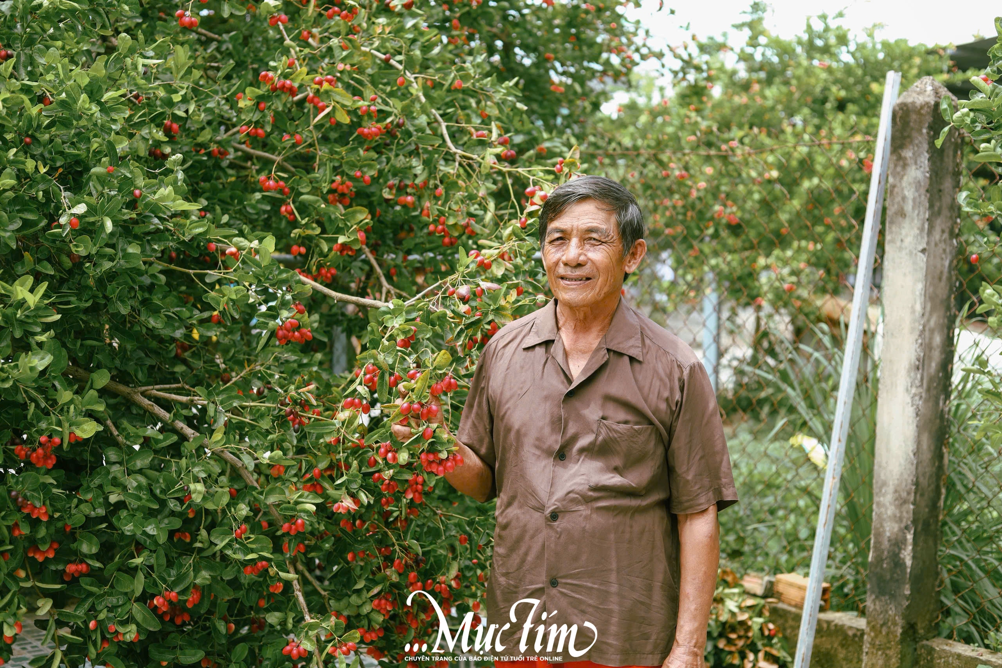 Ghé thăm vườn siro 9 Vũ - điểm đến xanh mát tại Đồng Tháp (Tiền Giang cũ) mùa hè này - Ảnh 9.