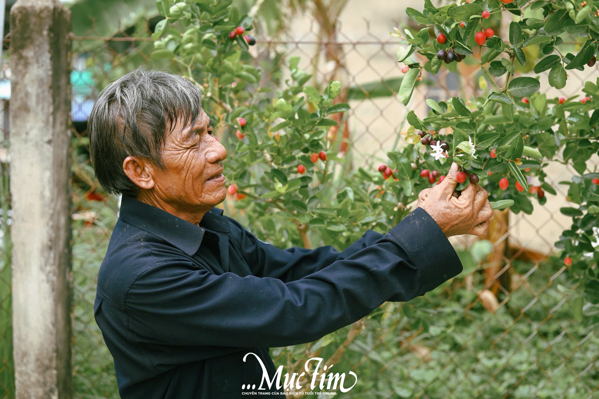Ghé thăm vườn siro 9 Vũ - điểm đến xanh mát tại Đồng Tháp (Tiền Giang cũ) mùa hè này - Ảnh 14.