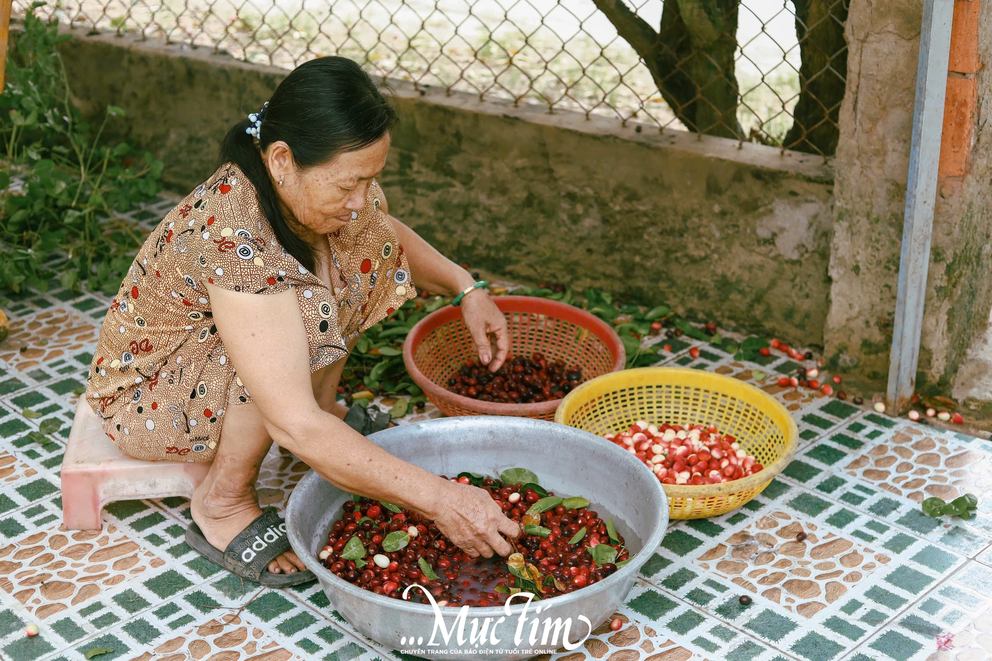 Ghé thăm vườn siro 9 Vũ - điểm đến xanh mát tại Đồng Tháp (Tiền Giang cũ) mùa hè này - Ảnh 24.