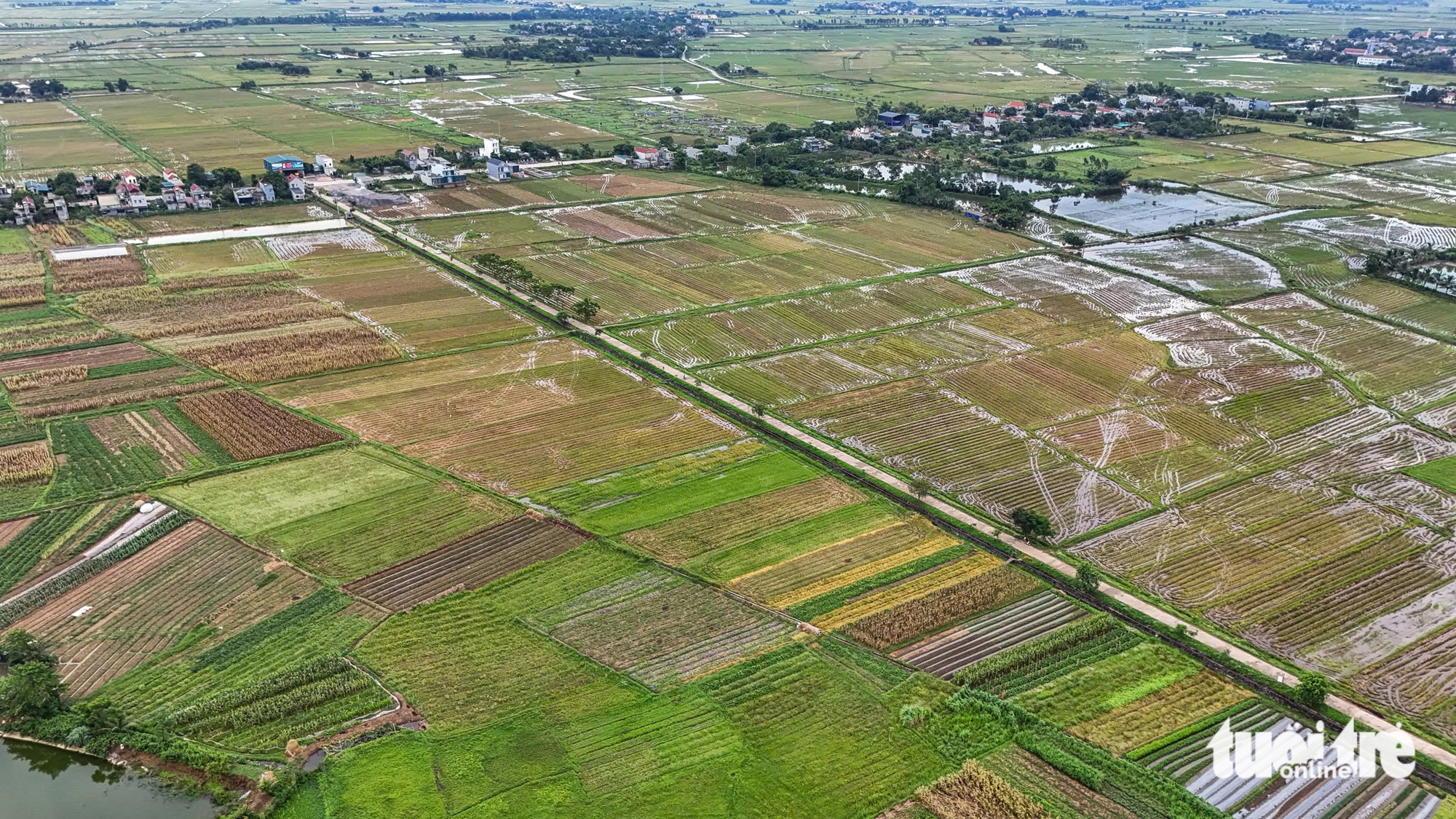 Hàng ngàn tỉ đồng thuế đất mỗi năm tiếp tục được miễn, bà con nông dân yên tâm sản xuất - Ảnh 1.