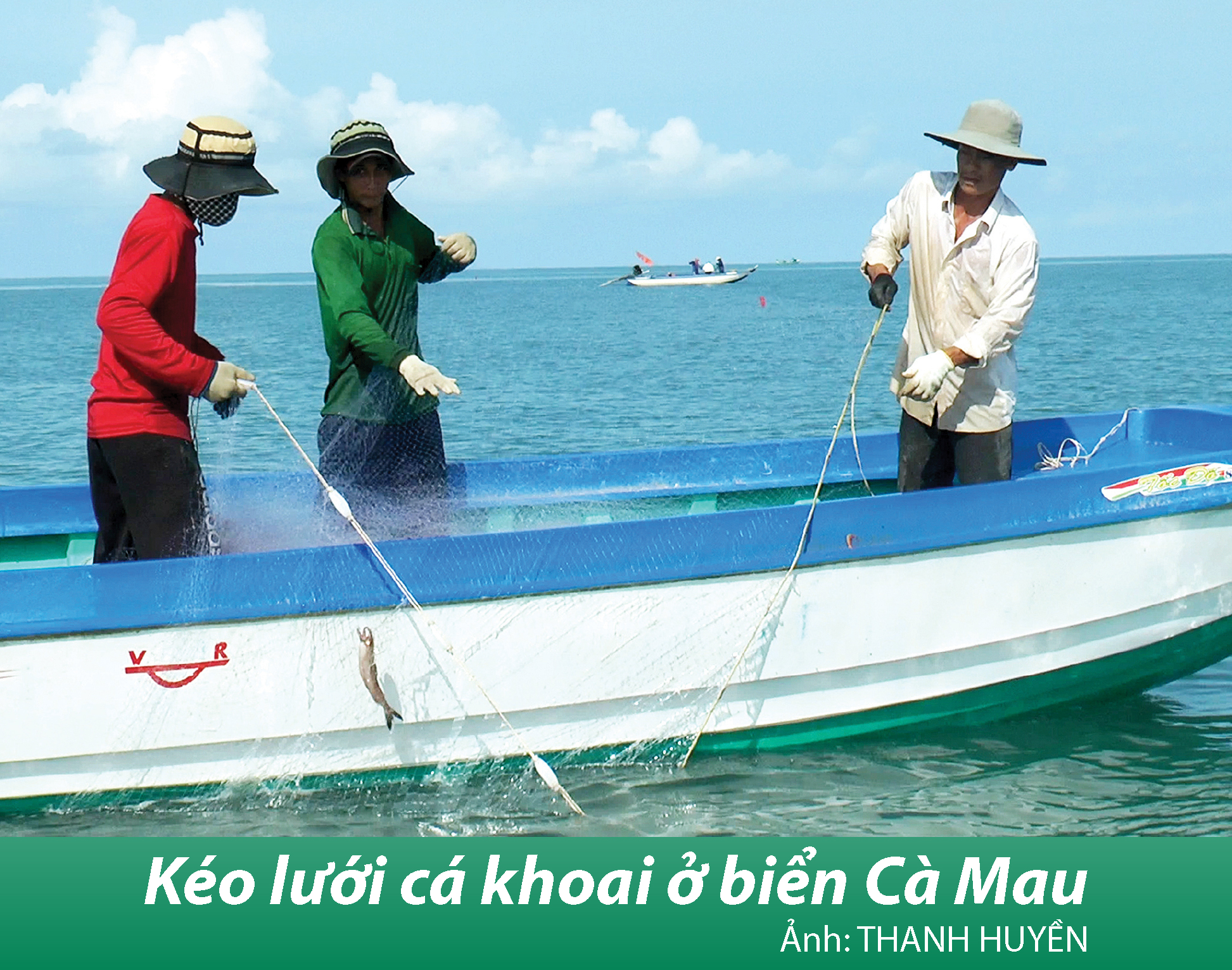 Bắt cá khoai ở biển Cà Mau - Ảnh 2.
