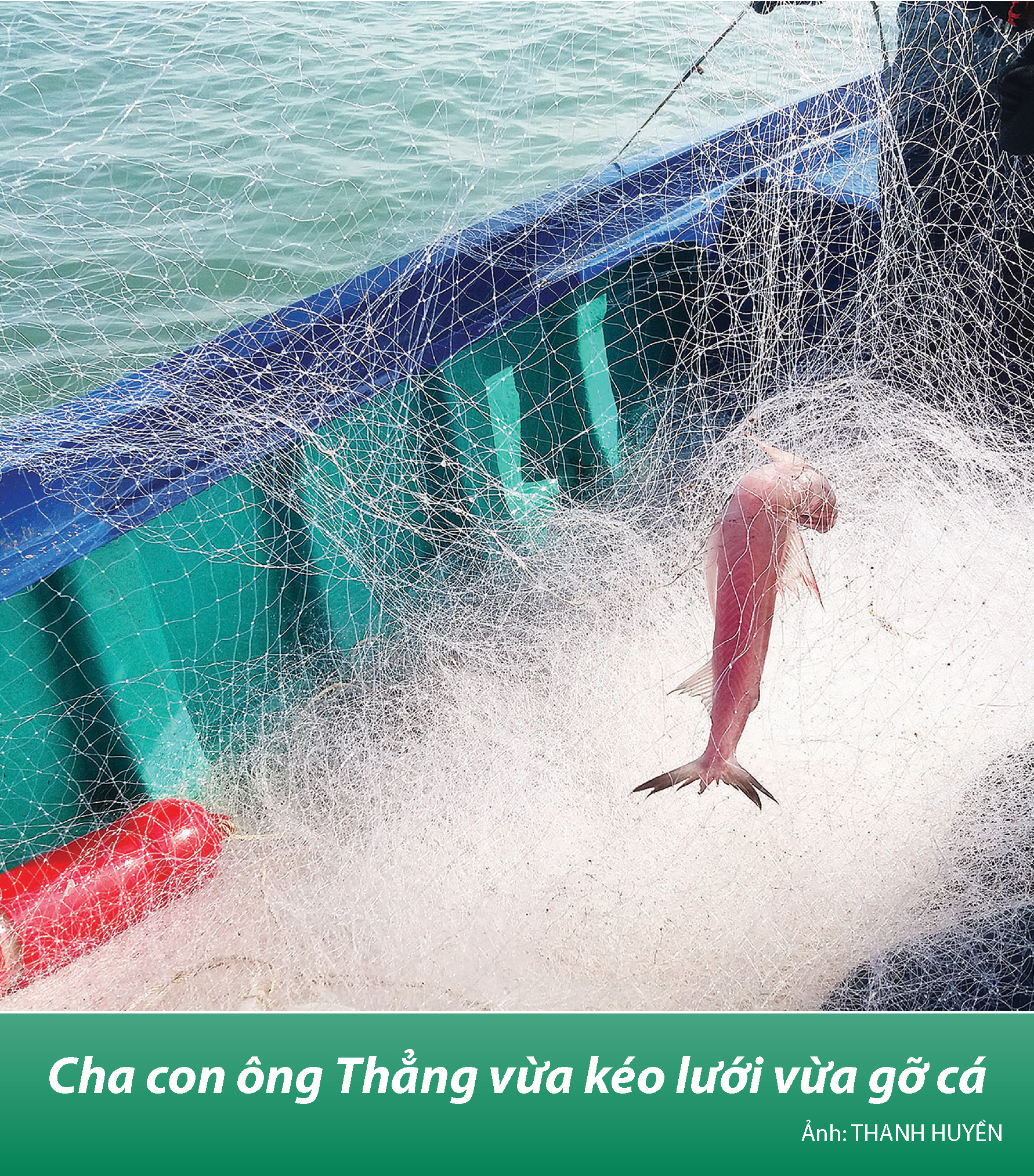 Bắt cá khoai ở biển Cà Mau - Ảnh 7.