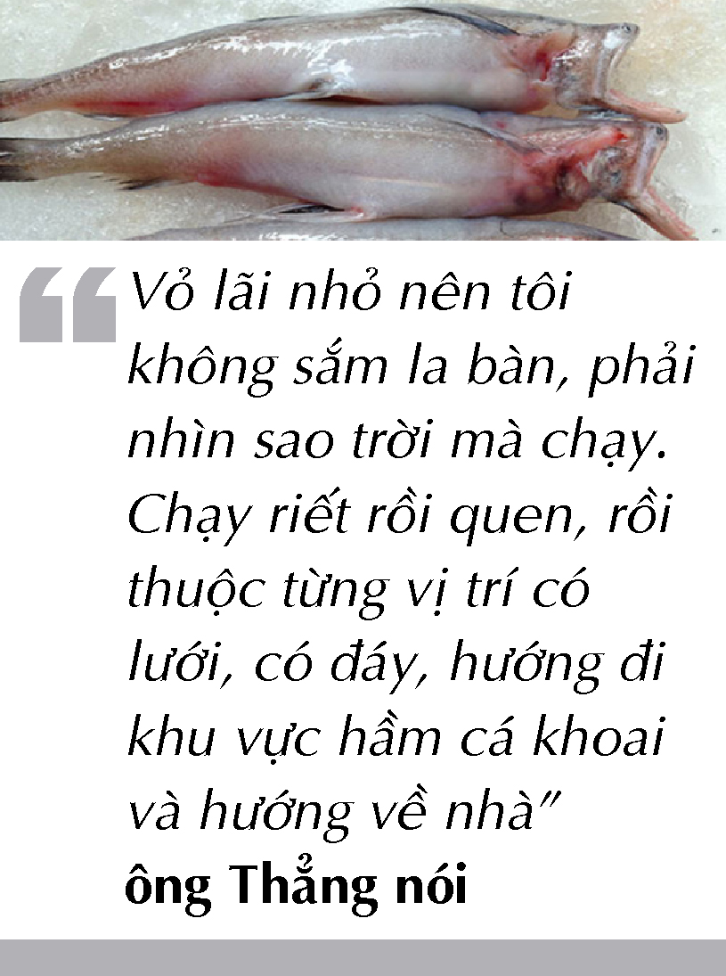 Bắt cá khoai ở biển Cà Mau - Ảnh 3. Bắt cá khoai ở biển Cà Mau - Ảnh 3.