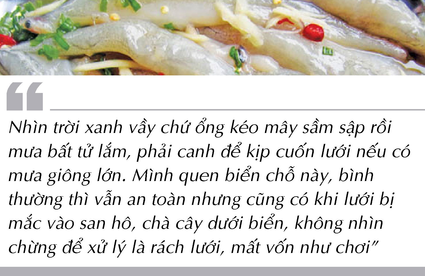Bắt cá khoai ở biển Cà Mau - Ảnh 4. Bắt cá khoai ở biển Cà Mau - Ảnh 4.