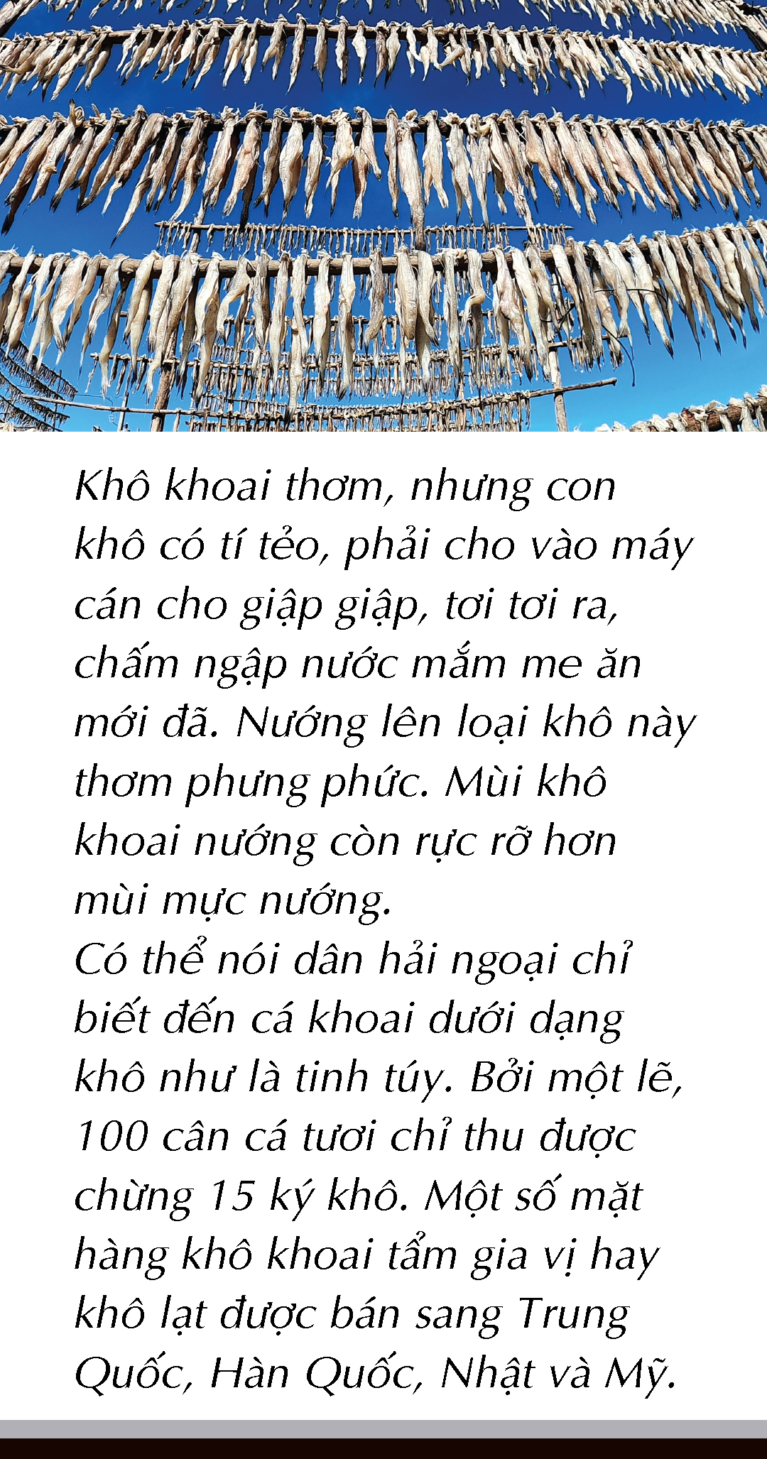 Bắt cá khoai ở biển Cà Mau - Ảnh 12.