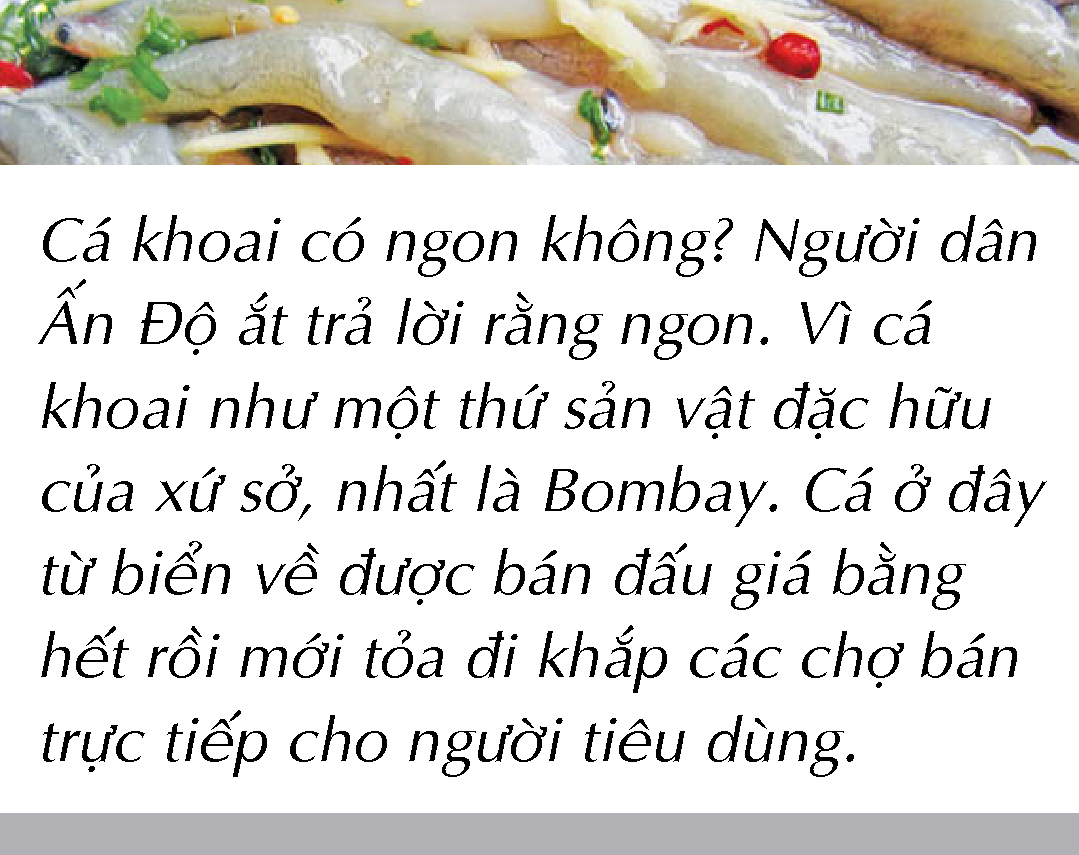 Bắt cá khoai ở biển Cà Mau - Ảnh 13. Bắt cá khoai ở biển Cà Mau - Ảnh 13.