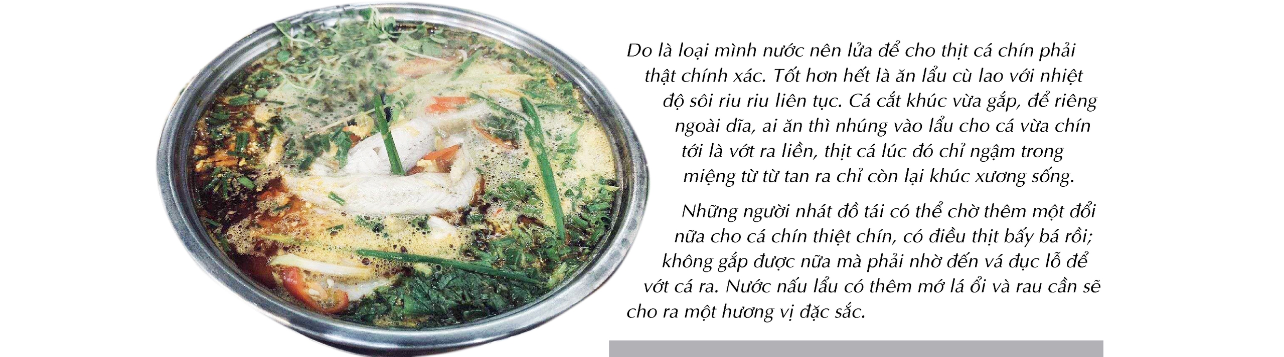 Bắt cá khoai ở biển Cà Mau - Ảnh 15. Bắt cá khoai ở biển Cà Mau - Ảnh 15.